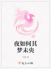 夜如何其梦未央