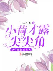 小荷才露尖尖角早有蜻蜓立上头