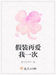 假装再爱我一次