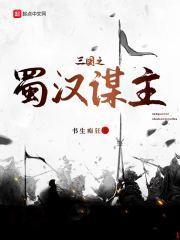 三国之蜀汉谋主