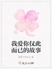 我爱你仅此而已的故事