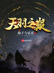 天羽之巅
