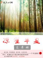 凉笙半夏见青桐