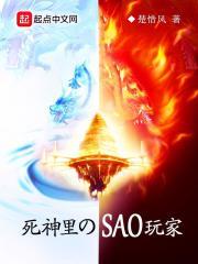 死神里的SAO玩家