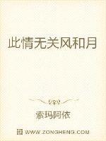 此情无关风和月