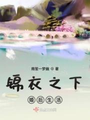 锦衣之下婚后生活