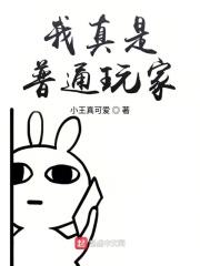 我真是普通玩家