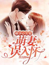 独家婚宠:顾少,高调宠