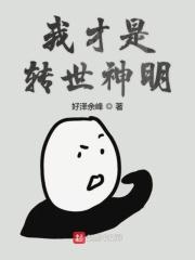 我才是转世神明