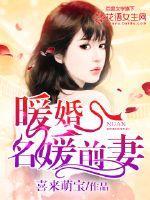 暖婚,名媛前妻
