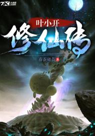 叶小开修仙传