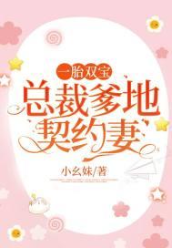 一胎双宝:总裁爹地契约妻