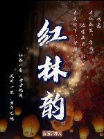 红林韵
