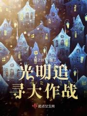 光明追寻大作战