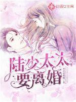 陆少,太太要离婚