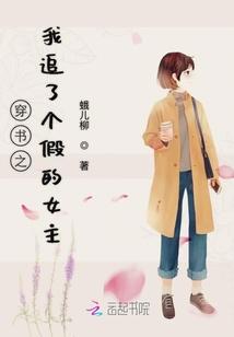 穿书之我追了个假的女主