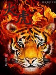 一头江湖凶虎来到了修真世界