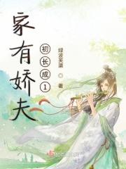 家有娇夫初长成1