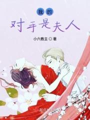我的对手是夫人
