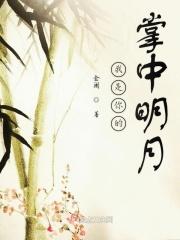 我是你的掌中明月