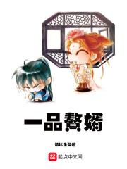 一品赘婿