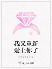 我又重新爱上你了